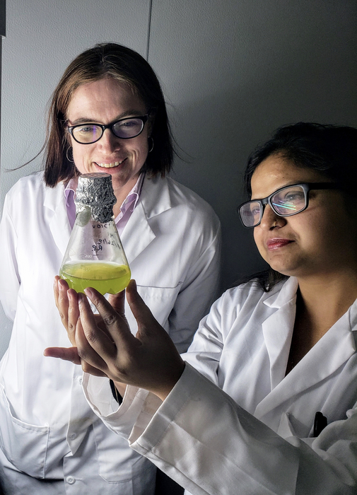 UNLV geoscientists Libby Hausrath and Leena Cycil