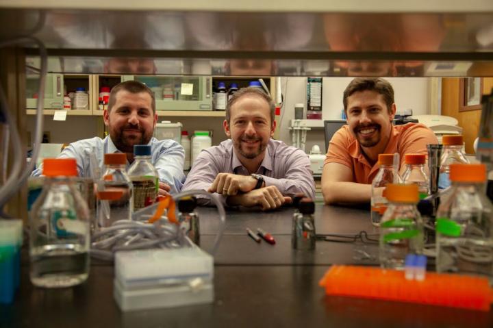 Brain Discovery Could Prevent Alzheimer's, Block Aging's Terrible Toll on the Mind