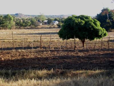 Farmland in Zimbabwe