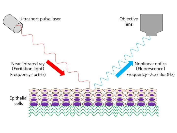 Schema of Three-Dimensional Imaging with Nonlinear Optics