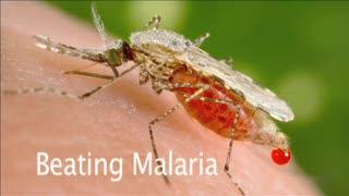 Beating Malaria