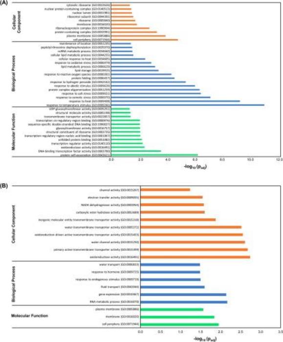 Transcriptomic analysis of HB-treated tomato plants under drought stress.