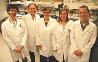 Des chercheurs canadiens dÃ©veloppent une nouvelle technologie utilisant des enzymes afin de combattre les biofilms 