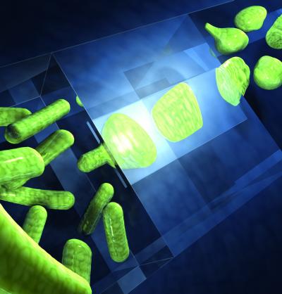 Bacteria Squeezing Through a Nanoslit