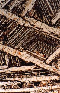 Photomicrograph of a Small, Thin Section of Komatiite Lava
