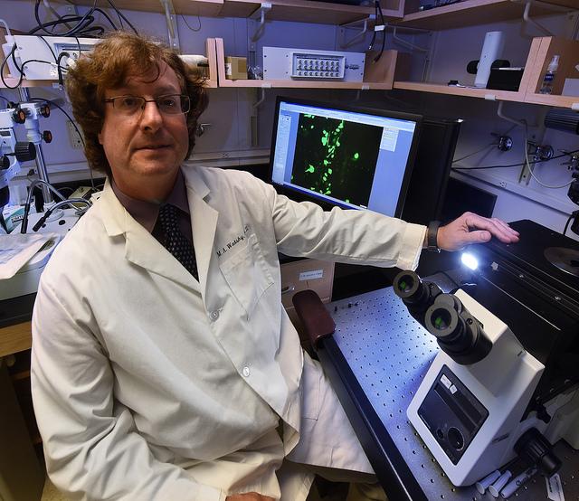 Dr. Mitchell Watsky, Medical College of Georgia at Augusta University 