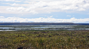 Tundra in the Siberian Arctic