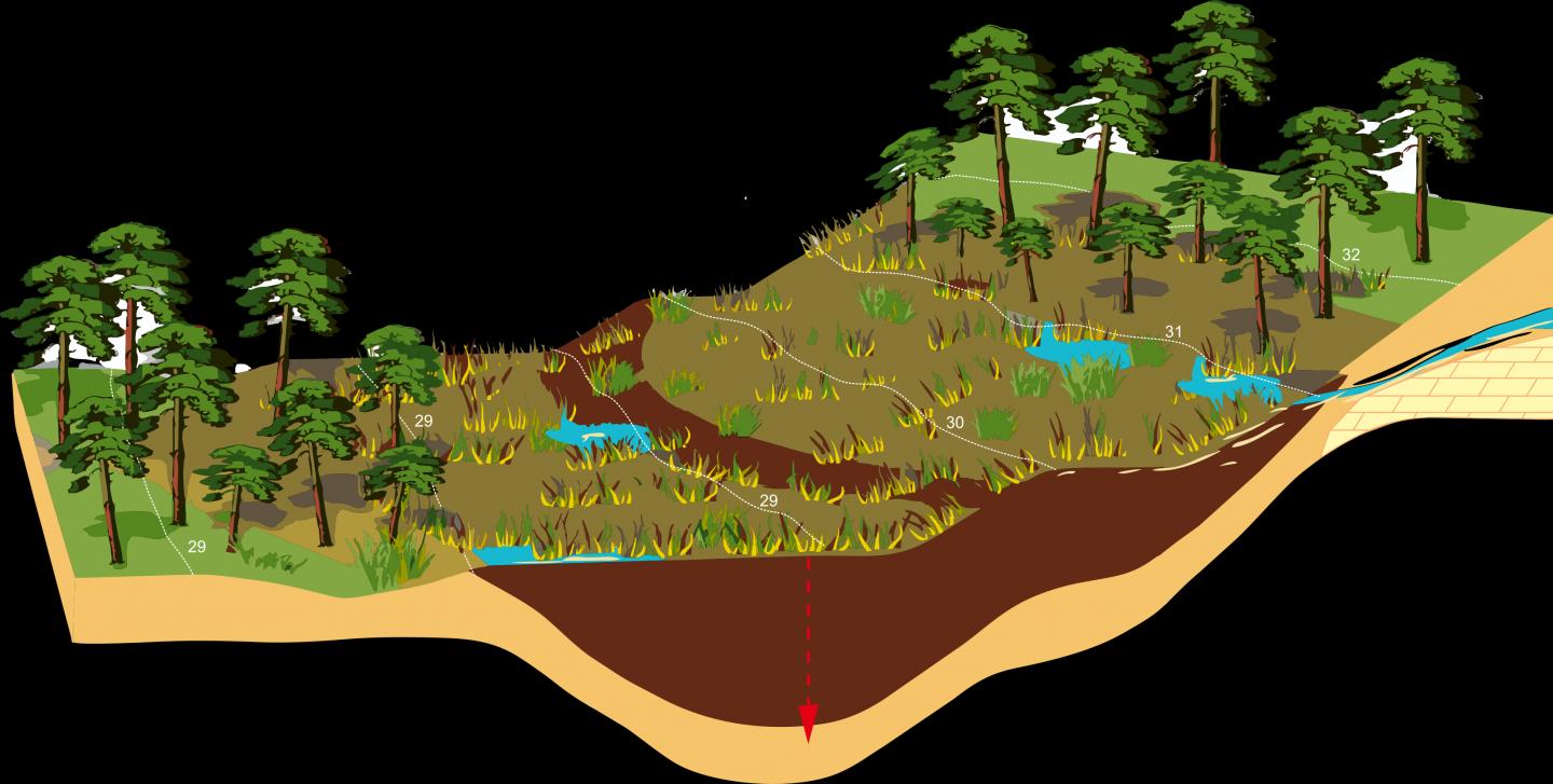 Kanna Spring Fen on the Slope of Saaremaa Upland, Red Arrow Marks the Location of the Sediment Core