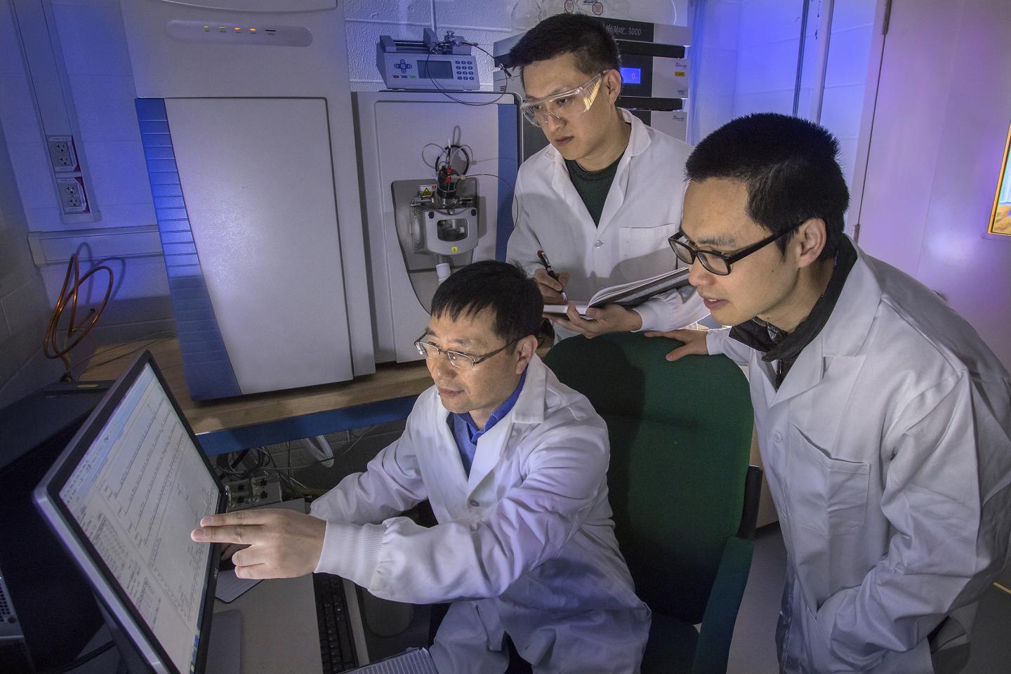 Scientists Review Data