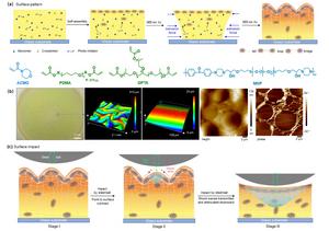 Schematic for the fabrication of gradient surface patterns and mechanically toughing mechanism.