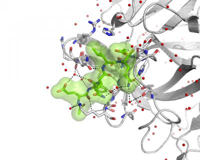 Southampton Norovirus