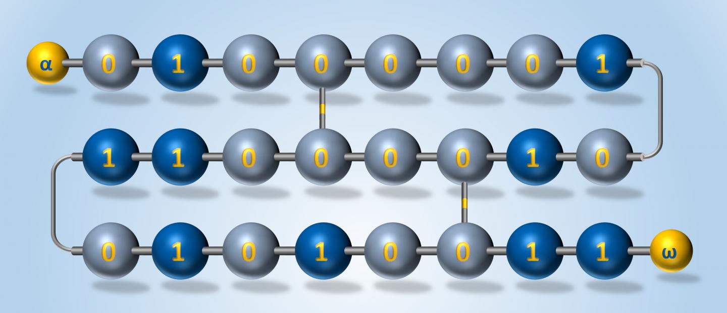 Toward Novel Computing and Fraud Detection Technologies with On-Demand Polymers
