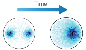 Vortices in a superfluid.