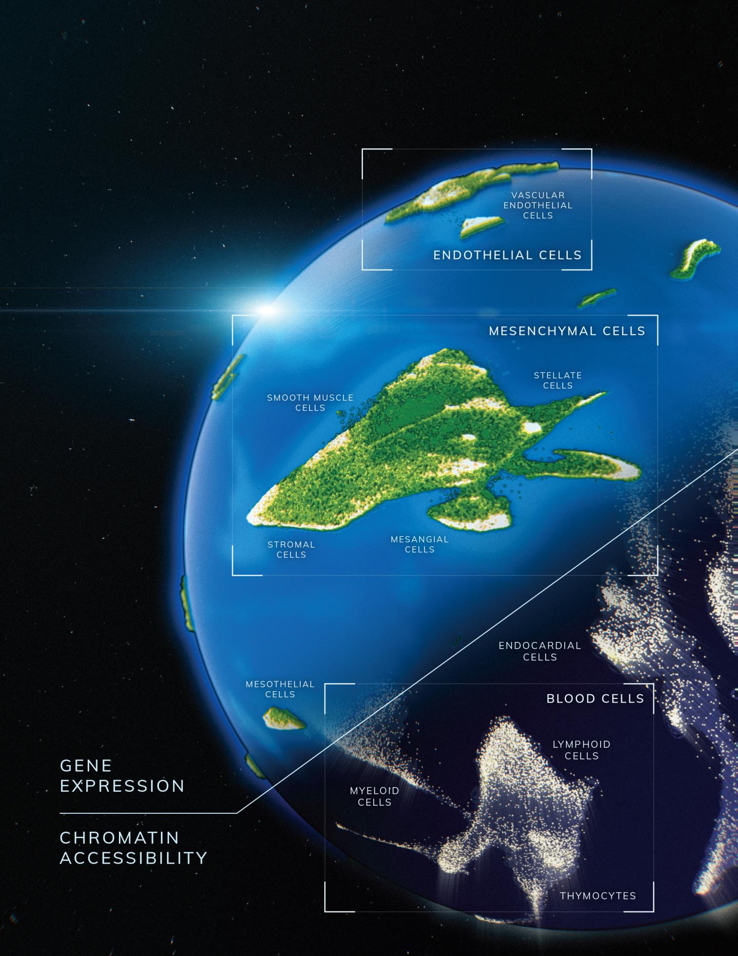 Artist's conception of the creation of human cell atlases