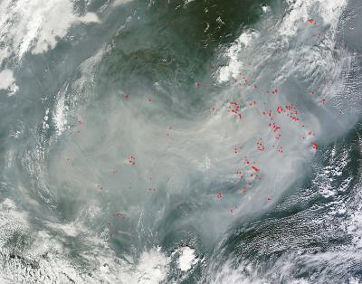Wildfires Consume Parts of Eastern Russia
