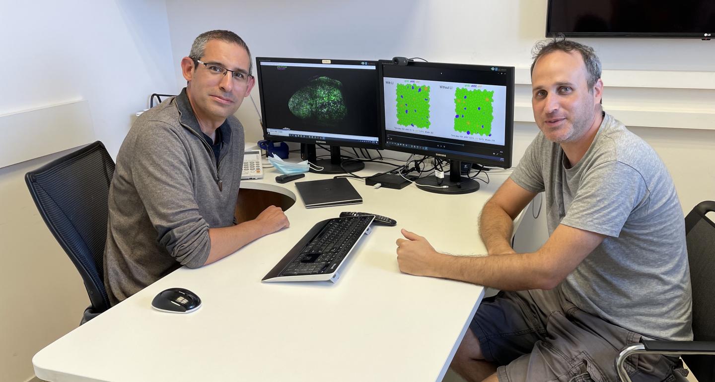 Prof. David Sprinzak and research student Udi Binshtok