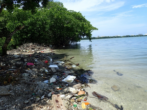 Microplastic pollutio