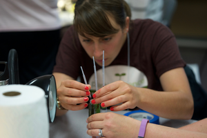 Participant in PlantingScience professional learning workshop adjusts setup in photosynthesis investigation