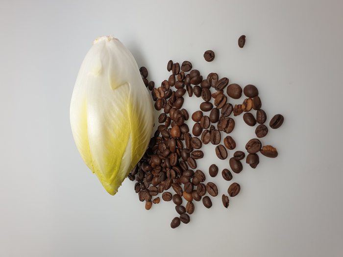 Chicory And Roasted Coffee Con IMAGE EurekAlert Science News Releases   Public