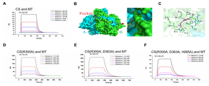 Melatonin inhibits Gram-negative pathogens by targeting citrate synthase