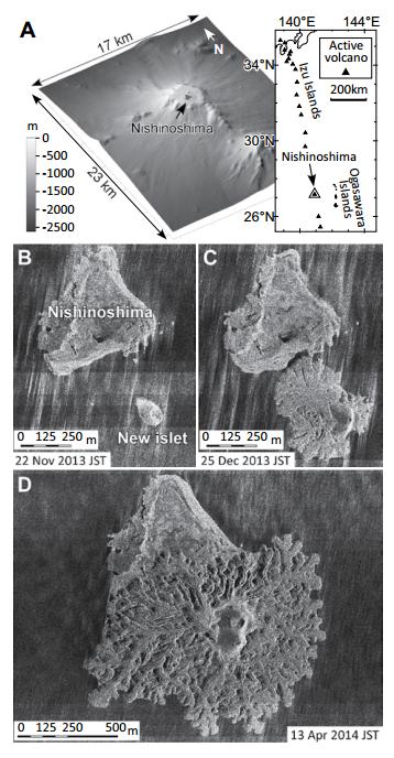 Figure 1 from Fukashi Maeno et al.