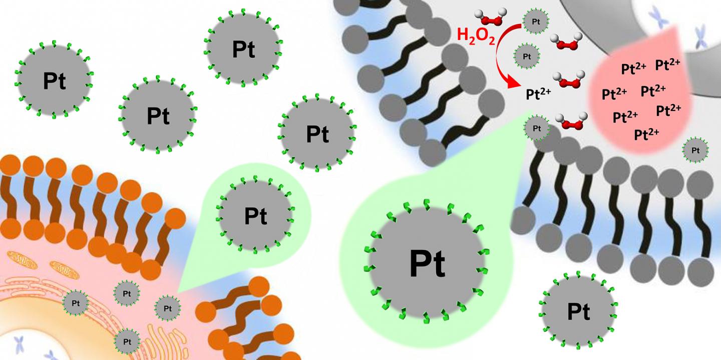 Platinum nanoparticles for selective treatmen EurekAlert!