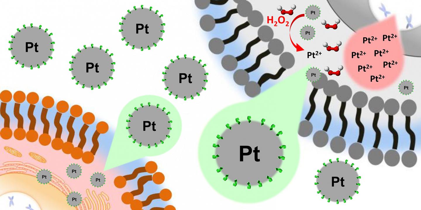 Platin Nanoparticles