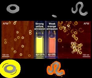 Structure-dependent fluorescence properties of molecular assemblies.