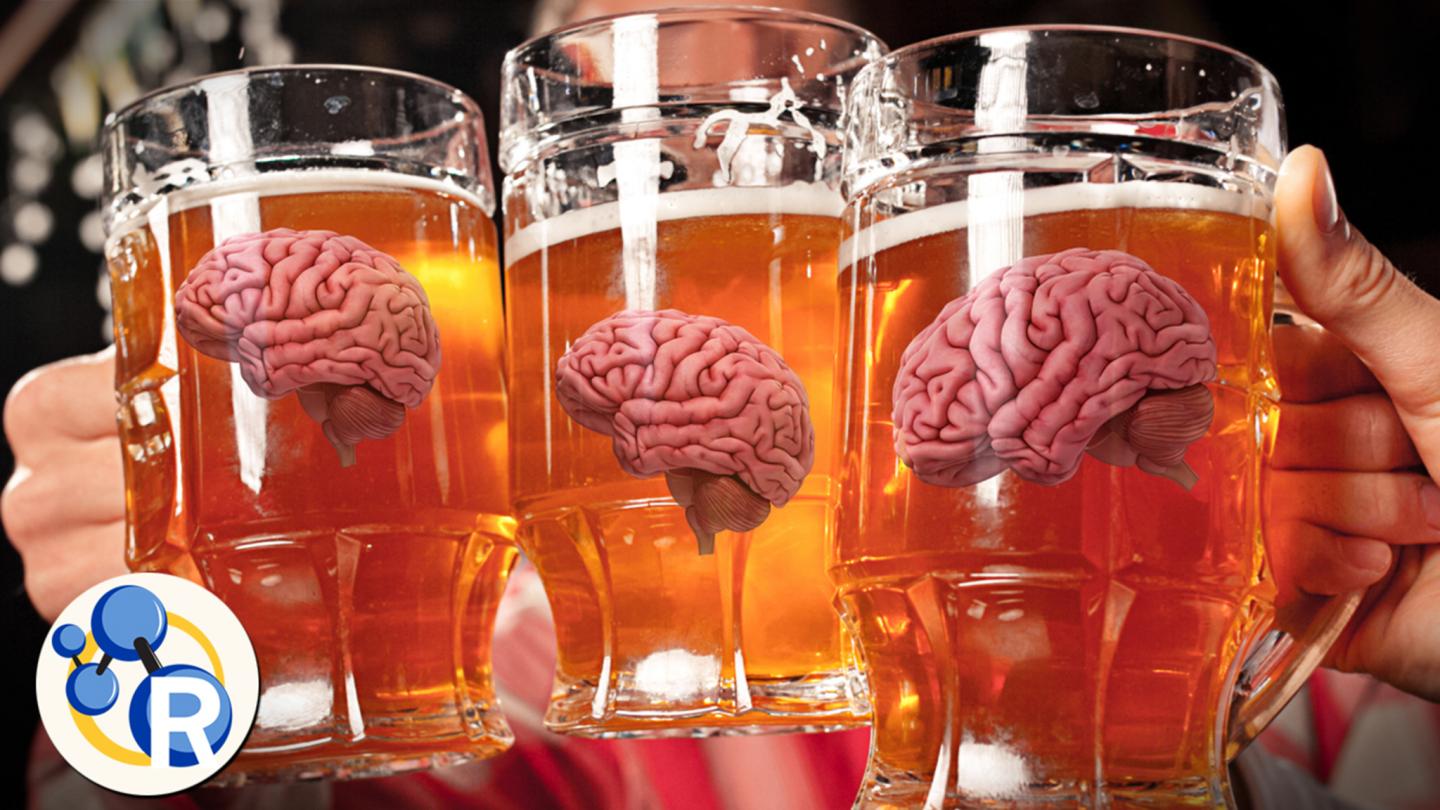 This Is Your Brain on Alcohol (Video)