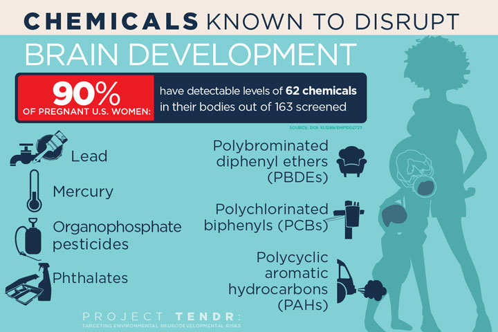 Common Chemicals Endanger Child Brain Health