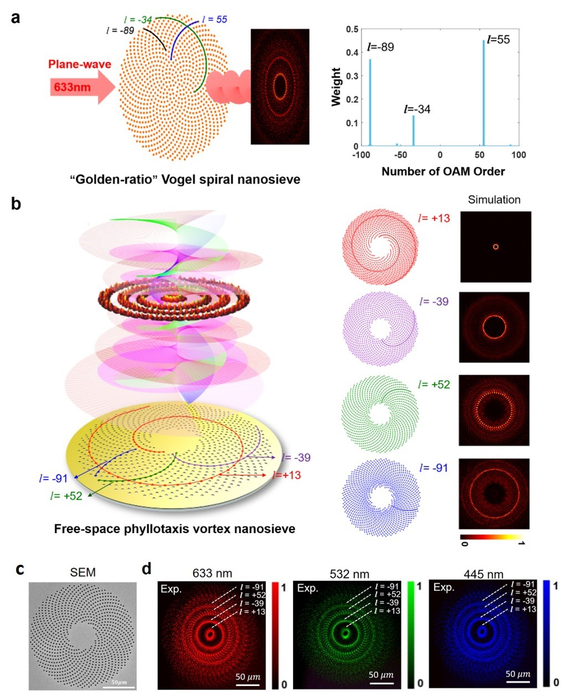 Figure 1 | Working principle of the phyllotaxis-inspired vortex nanosieve and demonstration of the free-space phyllotaxis-inspired vortex nanosieve