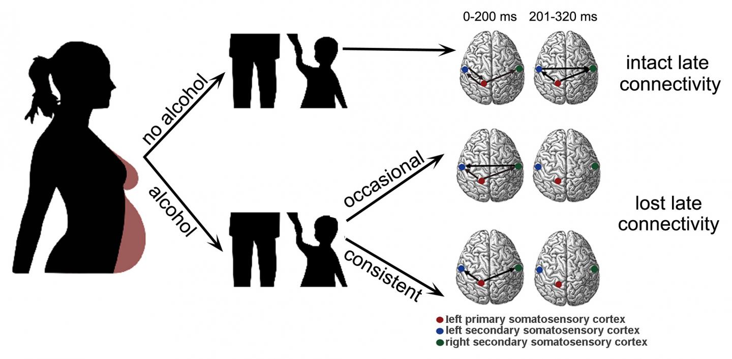 Schematic Representation of the Presented Results a Paper in the Journal <i>Chaos</i>