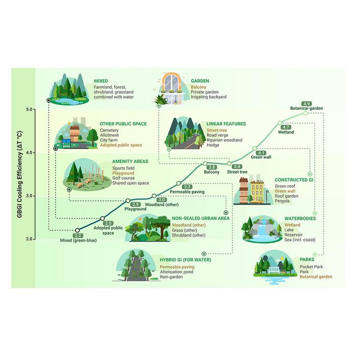 PolyU study reveals effectiveness of GBGI infrastructure in mitigating urban heat, proposing nine-stage framework for development of a sustainable city