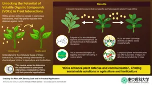 Exploring how plants communicate using volatile organic compounds (VOCs)