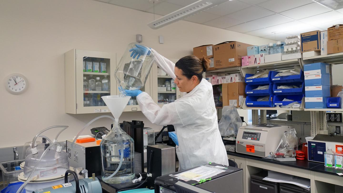 NeutralizationAassay