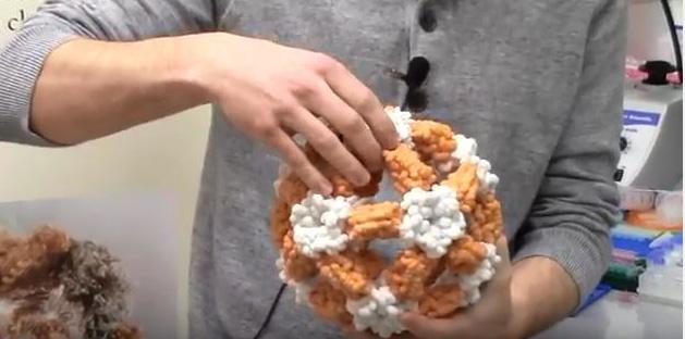 3-D Printout of Icosahedral Nanocage