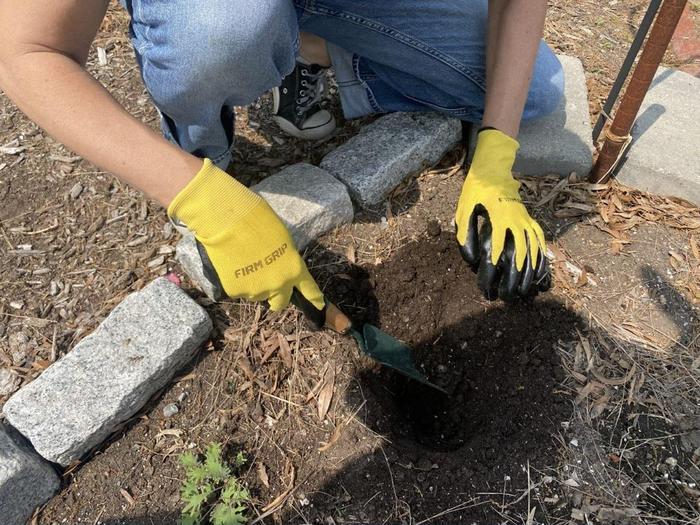 Gloved hands digging in soil