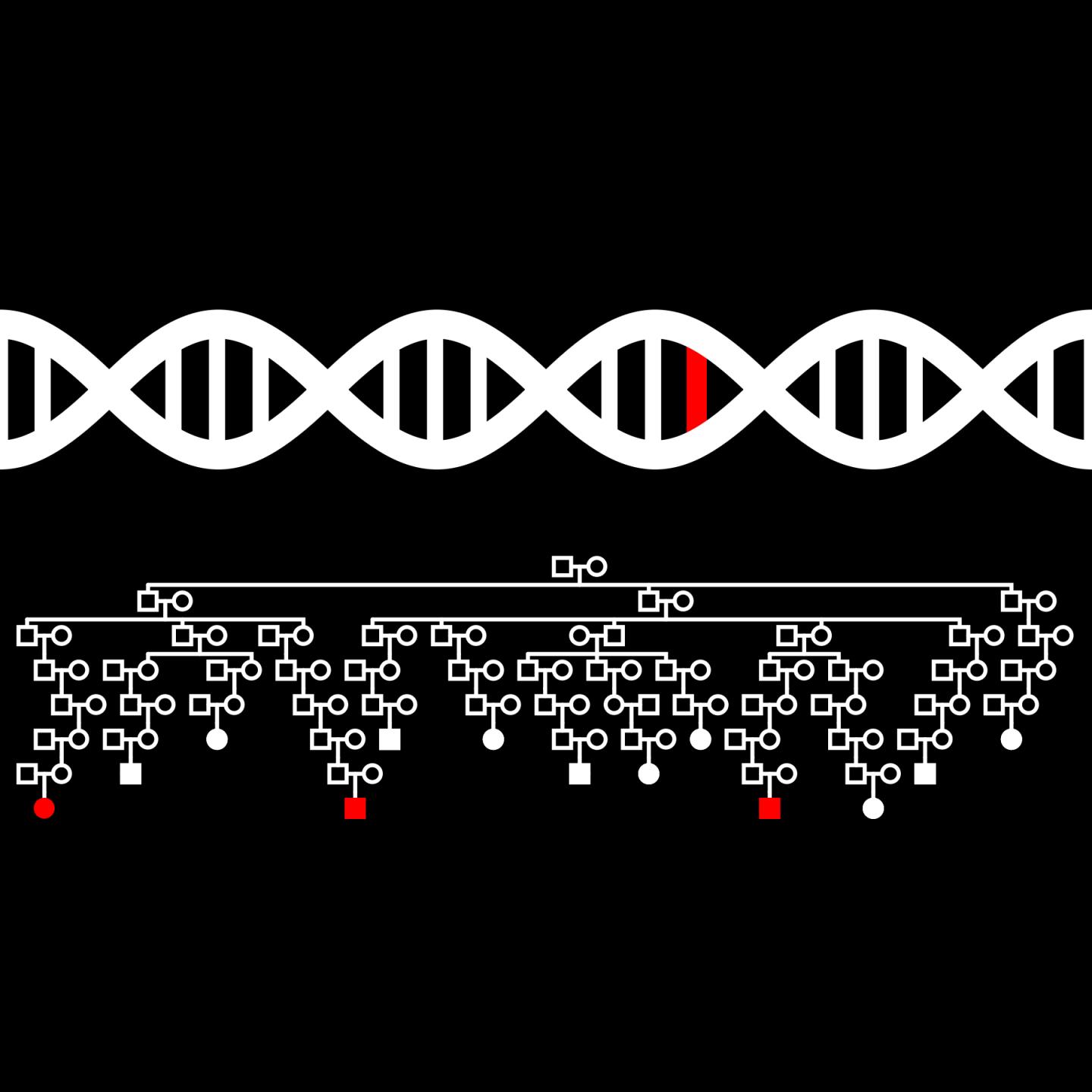 Changes in Genes Involved in DNA Repair and Packaging Linked to Risk of Multiple Myeloma