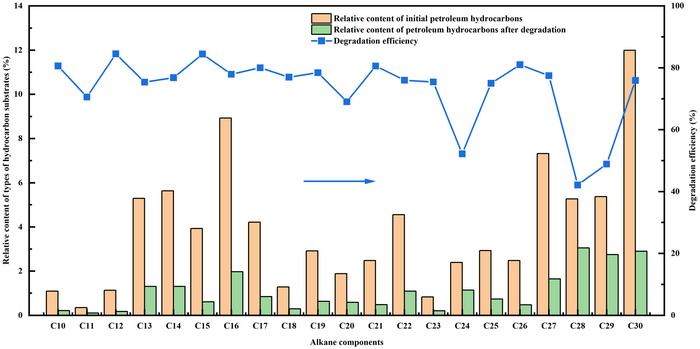 Two types of microorganisms isolated from petroleum hydrocarbon pollutants: Degradation characteristics and metabolic pathways analysis of petroleum hydrocarbons