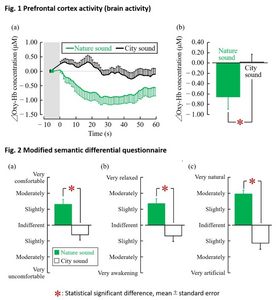 Nature-derived sounds have de-stress value for people with gambling addiction