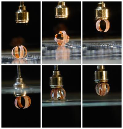 Ziaie Grippers (2 of 2)