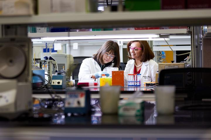 $5 Million Supports Research into Neglected Tropical Diseases