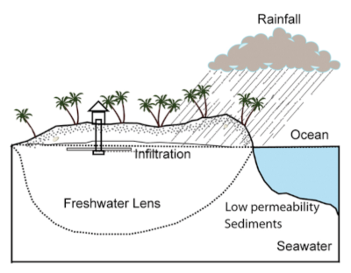 Schematic illustration