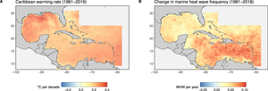 Warming patterns throughout the Caribbean sea