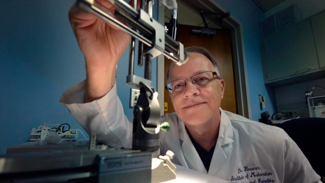 Darrell Brann, Medical College of Georgia at Georgia Regents University