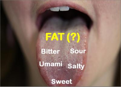 Fat on the Tongue