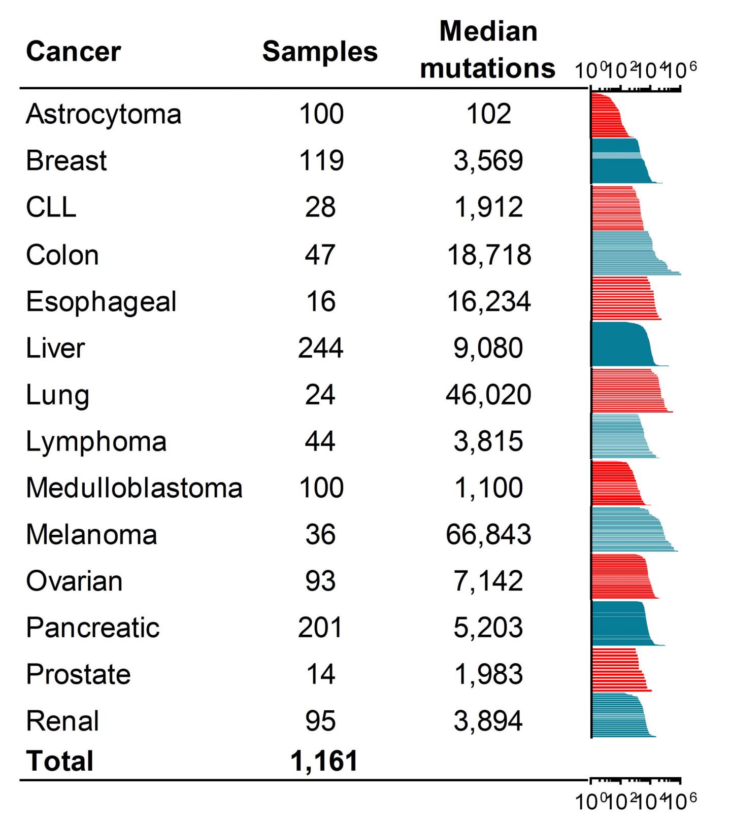 DNA Mutations