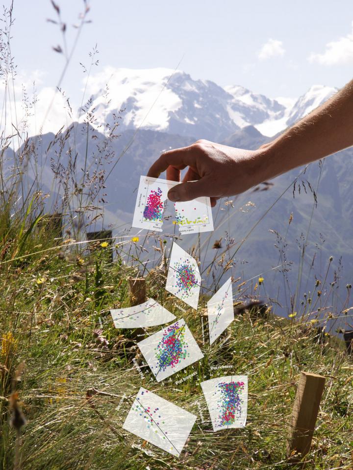 Cracking Open the Relationship between Biological Diversity and Ecosystem Productivity Solves a Long-Standing Riddle