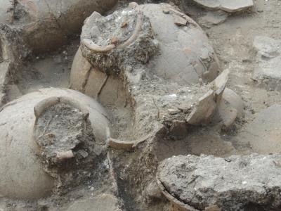 Ancient Kabri Wine Jugs