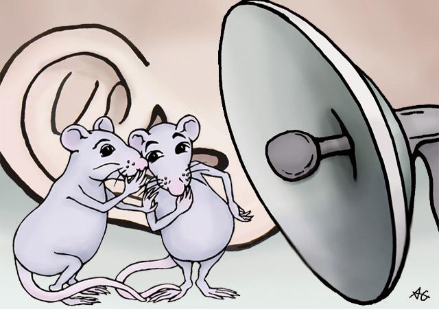 The Inner World of Rodent Chatter